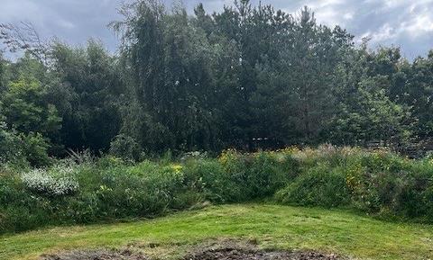 Naturplejevandring for medlemmer